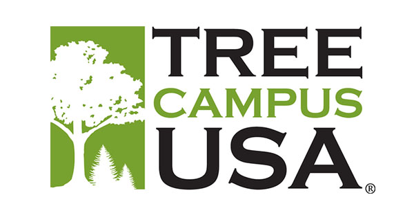 tree-campus-usa