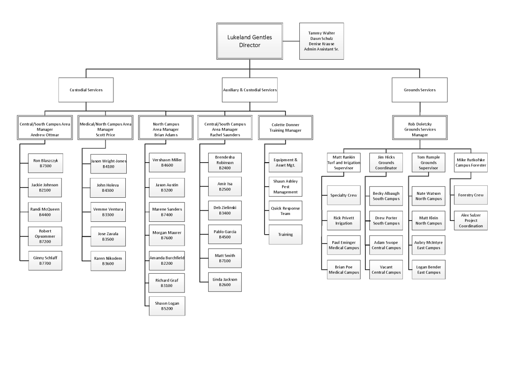 CGS Org Chart