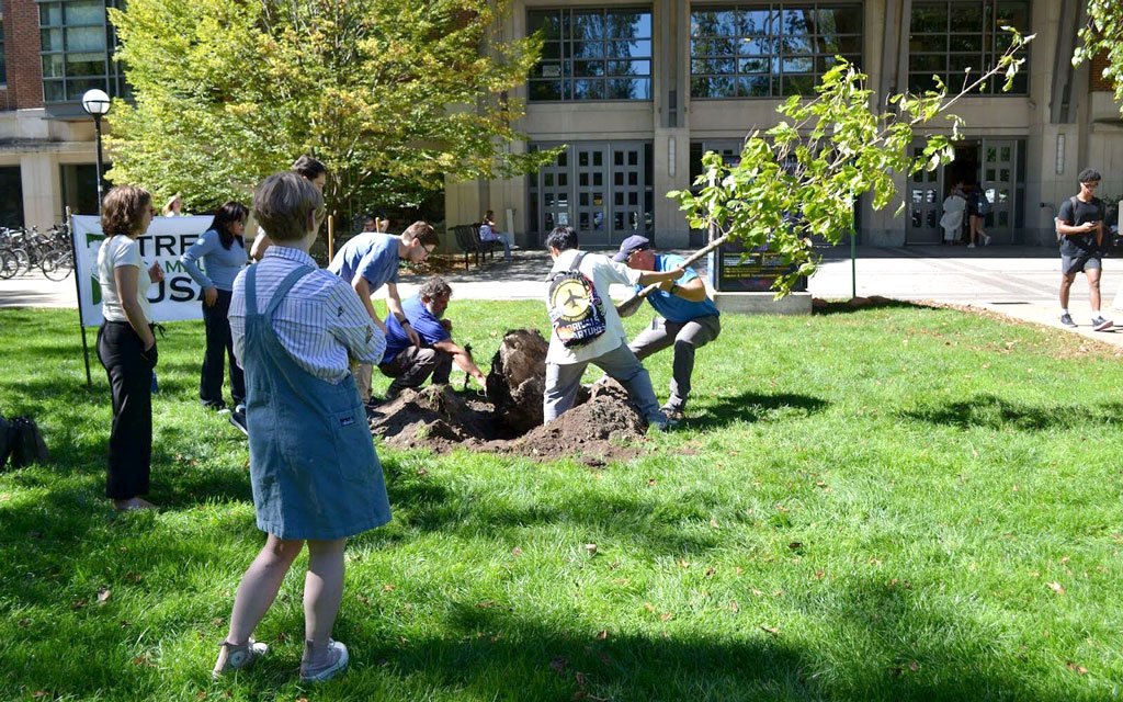 students plant trees