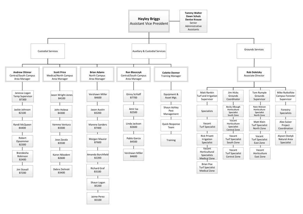 CGS-Org-Chart