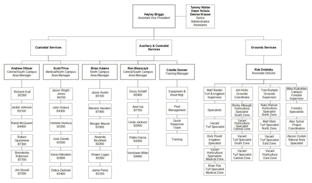 CGS-Org-Chart